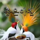 오늘의행복