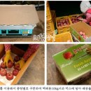 숙이농원 - 용인시 처인구 보개원삼로1924번길 7 | 숙이농원