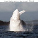 소망부동산공인중개사사무소 이미지