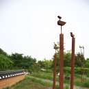 경안천습지생태공원 이미지