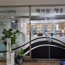 행운헤어샵 - 부평구 | 행운헤어샵