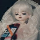 허니드리밍 이미지