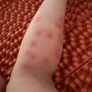 이마트24태안청포대점 이미지