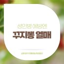 꽃내린영농조합법인 이미지