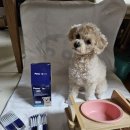 다나스약국 이미지