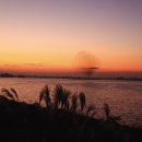 조수남농장 이미지