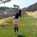 블라썸필드 이미지