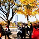 영남대학교 자연박물관 이미지