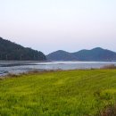 세포삼거리 이미지