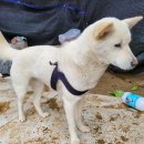 솔빛농장 이미지