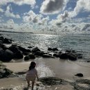 신엄안길B 이미지