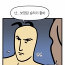 스포플레이 이미지