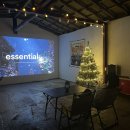 송림315 | 강릉 반려견 동반 독채 숙소ㅣ크리스마스 감성 스테이 <송림315> 솔직후기