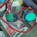 1150 | 260224 수영일기 (자유수영, 1150m, 도수수경 후기)