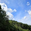 용둔목장 | [일기] 횡성사람의 횡성 관광지 탐방 (feat.횡성루지체험장) (1)