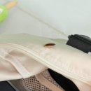라라팬션 이미지