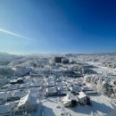 굿데이부동산중개 이미지