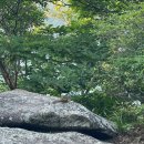 마북지상류 다리앞 버스정류소 화장실 | [아로하산악회/등산코스/ 지리산후기] 8월등산 | 지리산천왕봉 (23.08.06)