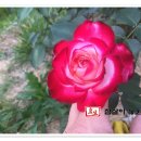 참살이농원 이미지