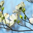 상원여자중학교 이미지