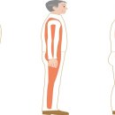 팀타이거짐 13호점 이미지