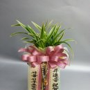 서울신구초등학교 이미지