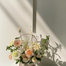 다이소 칠곡2지구 이미지