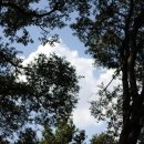 쇼후퉁 마라탕 이미지