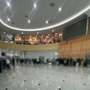 마리펫 | 대구 펫페어 강아지와 다녀온 후기, 혼잡도, 펫페어 추천템: 요세라, 펫벨업, 배드펫, 닥터뮨