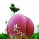 이뭐꼬 이미지