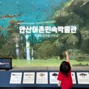 고성섬나들이 | 안산 아이와 가볼만한곳 실내나들이 추천ㅣ안산어촌민속박물관 다녀온 솔직 후기