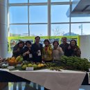 전진농장4 이미지