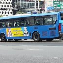 대성운수 이미지