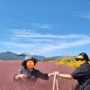 점순 농장 | 꽃차 한 잔을 내어 줄게요 (10/2~10/8)