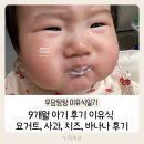 화평목장 | 우당탕탕 이유식일기(112~123일차) - 9개월 아기 후기 이유식 요거트 사과 치즈 바나나 후기, 아기치즈추천