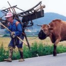 운수농장 네이버블로그