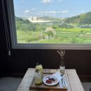 서가산곰장어 | 부산 기장 광산마을 카페바람, 팜파스 / 일광 서가산곰장어&amp;조개구이