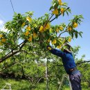 선아농장 이미지