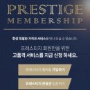 강산자연농장 | 신생아분유량 걱정 덜어준 판매1위 후디스산양 선택 이유