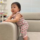 돌아기 던스 25SS 여름 신상 후기 미니마더어스 블러싱 오키드클로버 돼지 플레이수트 덩가리 반팔 68...