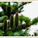 오월(5월) 1 이미지