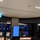 코리아나호텔 | [서울/광화문] 우정여행 강추! 코리아나 호텔 벙커룸 가성비 숙박 후기 (20만원 언더)