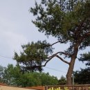 금수산산마루 이미지