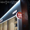 에이플러스 동물병원 이미지