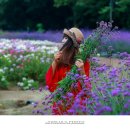 상림화원 이미지