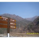 미산리 왕성동 계곡 티스토리