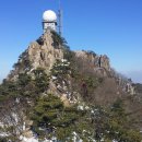 용마로16 앞 이미지