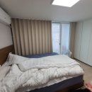 셀프코디트리
