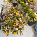 옥천초등학교병설유치원 이미지