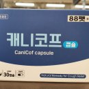 홈플러스동물약국 네이버블로그